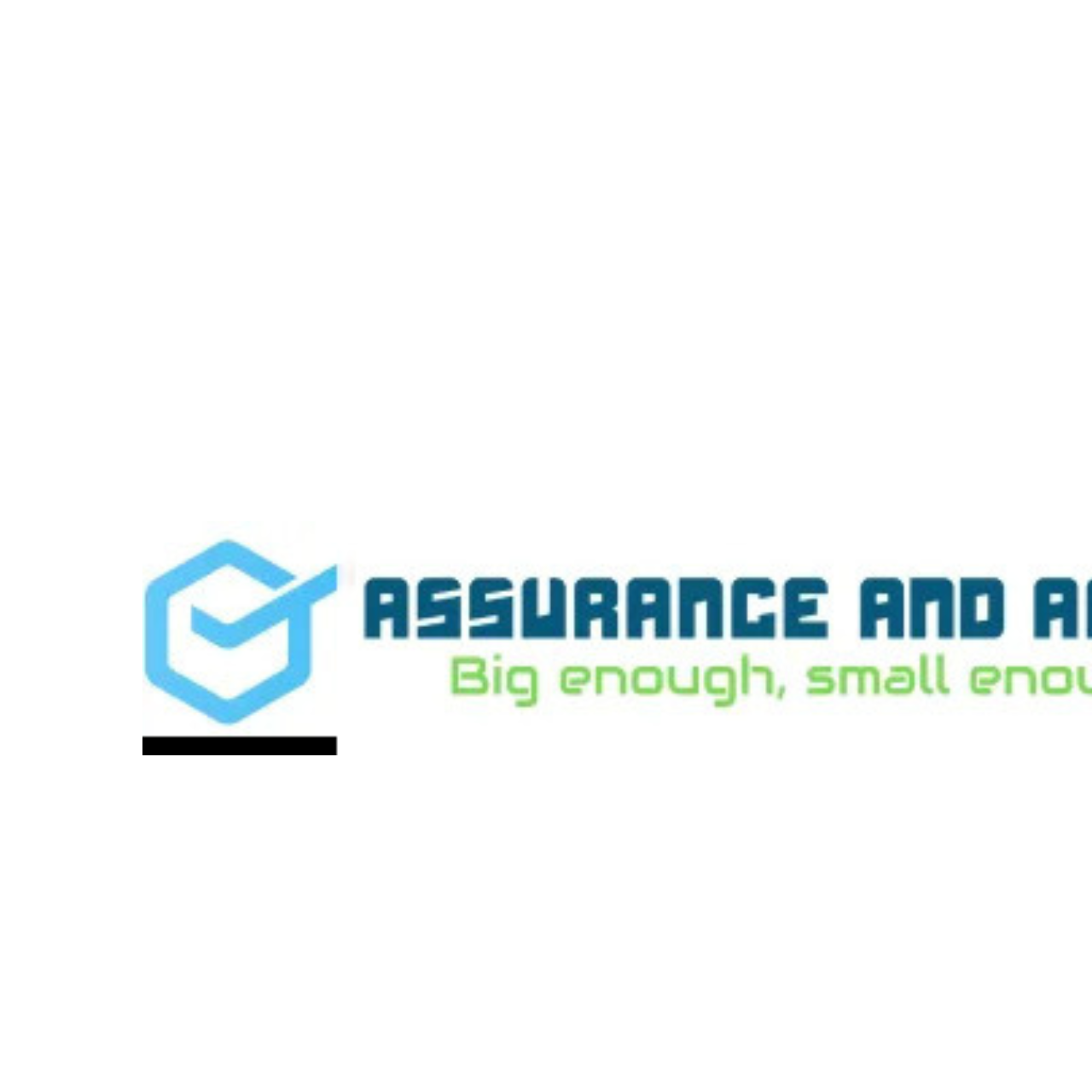 Assurance Audit
